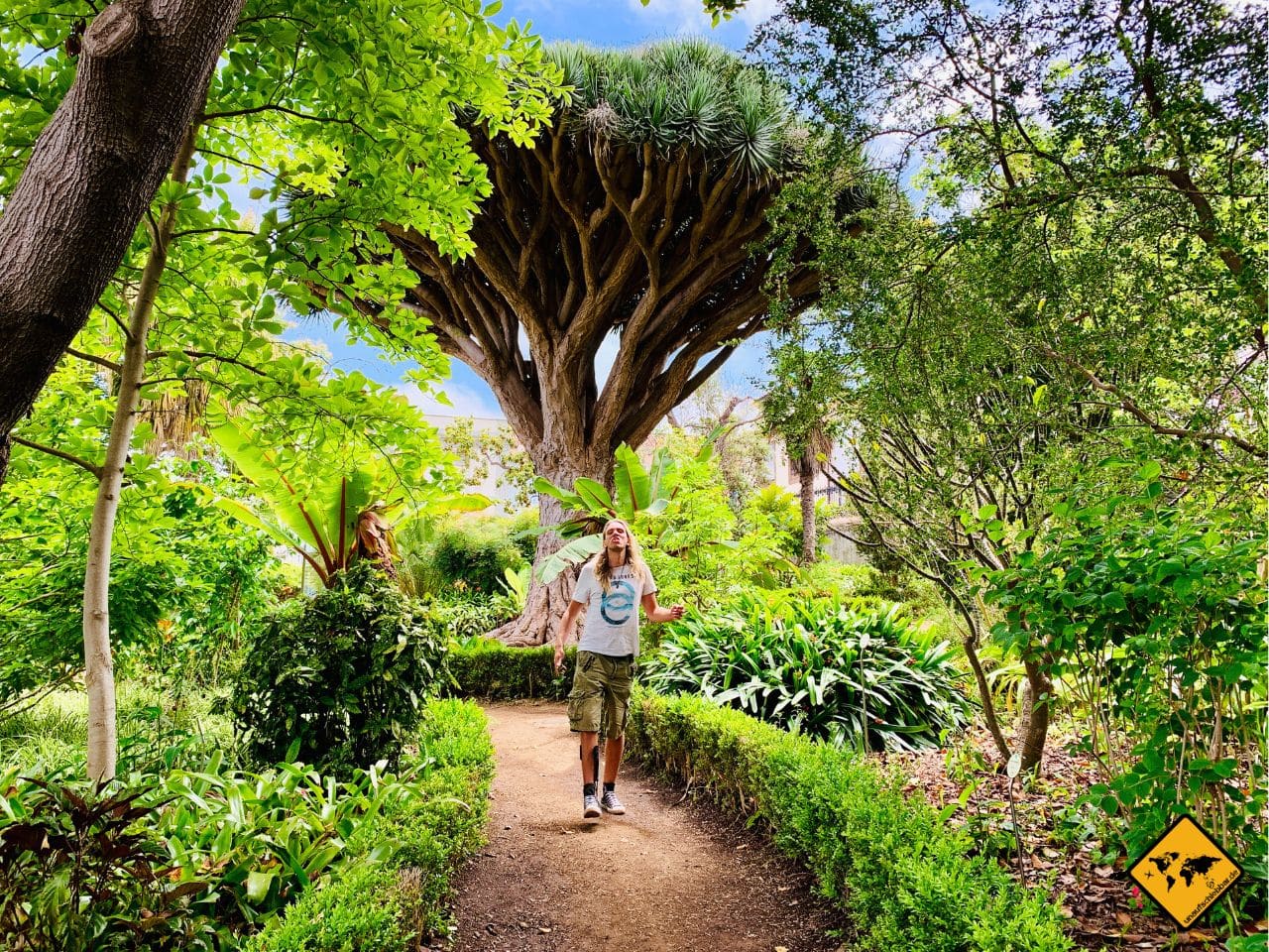 Teneriffa im Winter botanischer Garten La Orotava