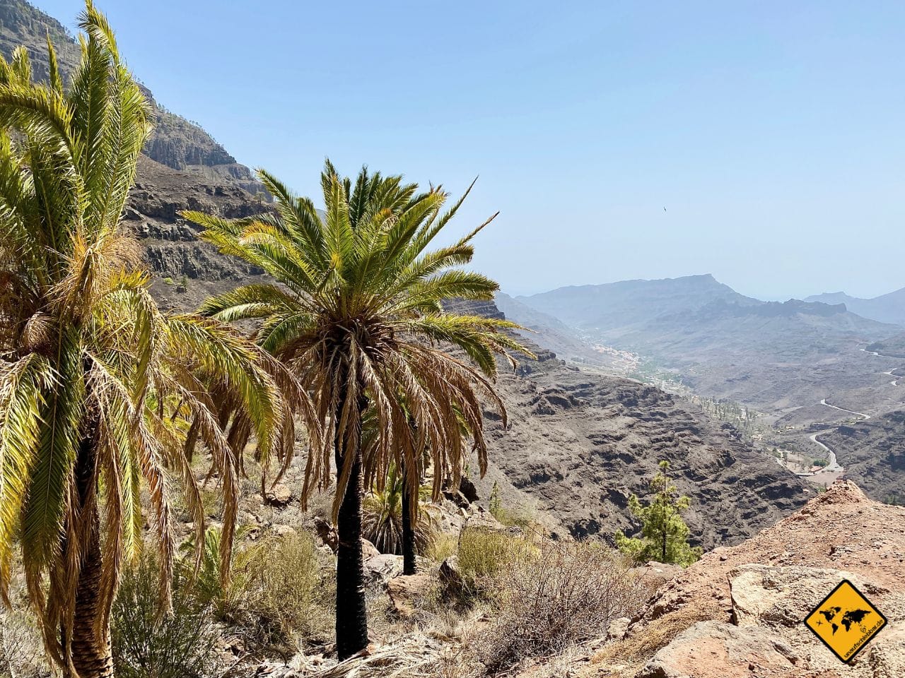 Calima Palmen Berge