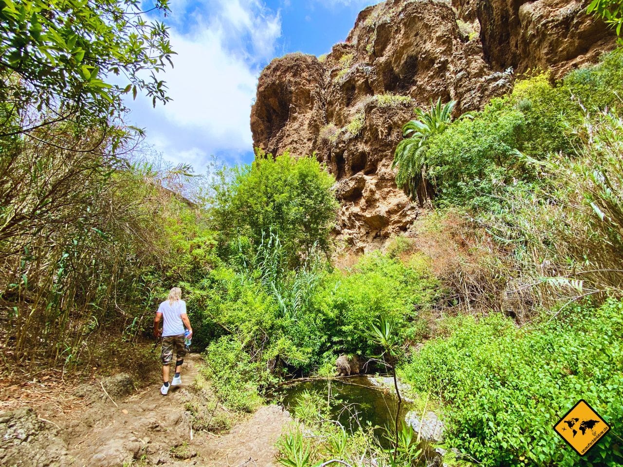 Gran Canaria im August wandern Barranco de Azuaje