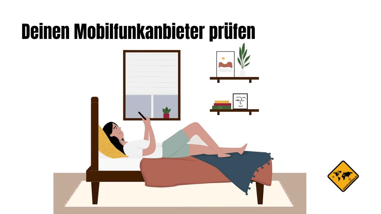 Internet im Ausland Kosten