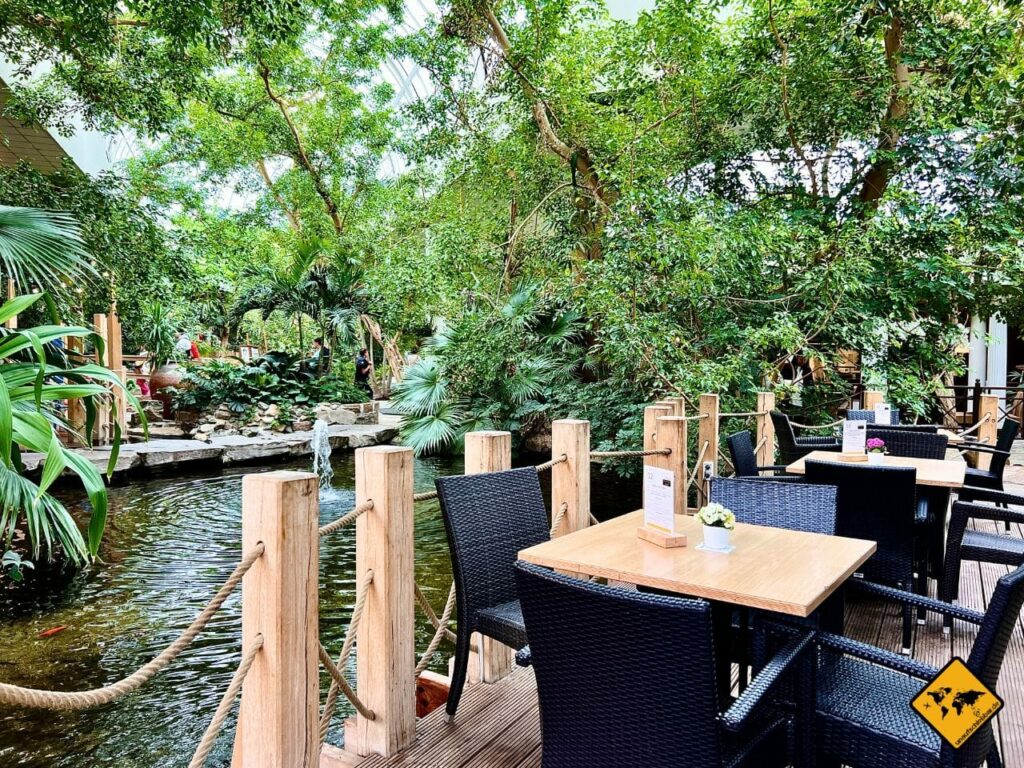 Center Parcs Bispingen unsere Erfahrungen als Familie unaufschiebbar.de