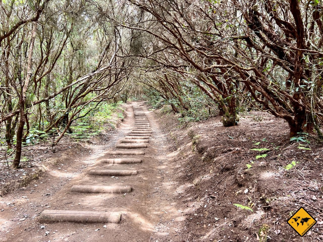 Teneriffa mit Baby wandern Anaga El Bosque de los Enigmas