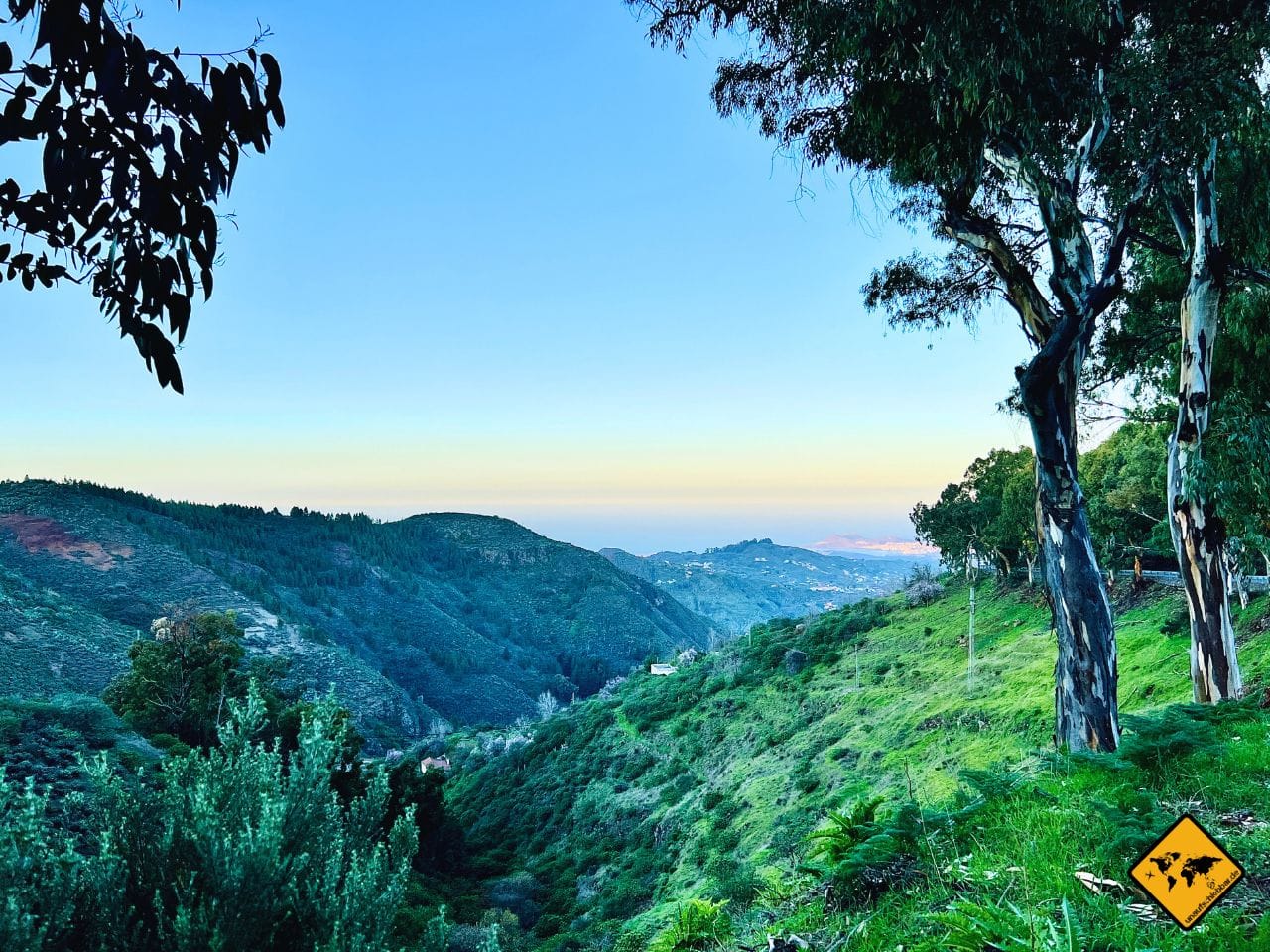 Februar Gran Canaria grüne Landschaft