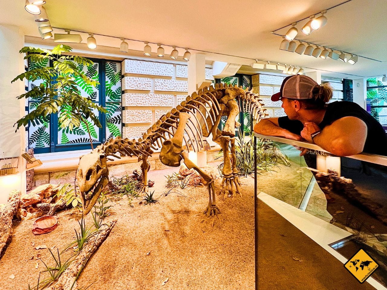 Dinosaurierskelett Landesmuseum Hannover