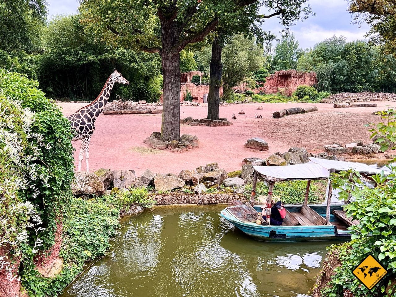 Erlebnis-Zoo Hannover Bootstour Giraffe