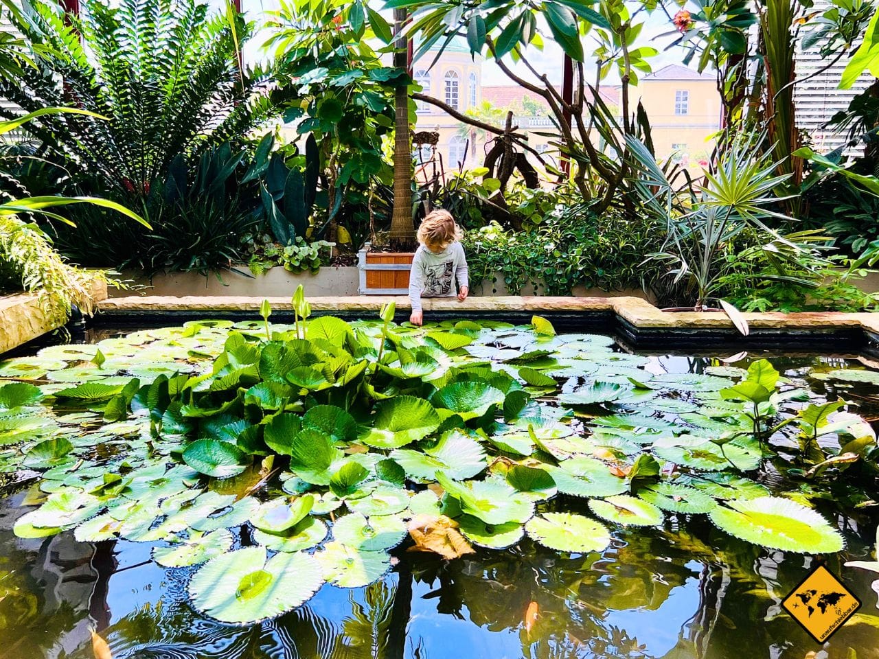 Tropenschauhaus Berggarten Hannover mit Kindern