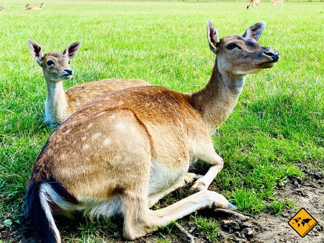 Wildpark Hannover