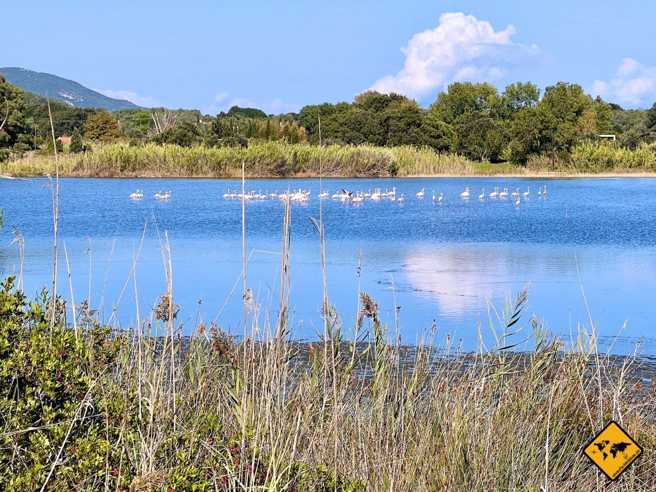 Korfu Sehenswürdigkeiten Flamingos Süßwassersee Korission Lagoon