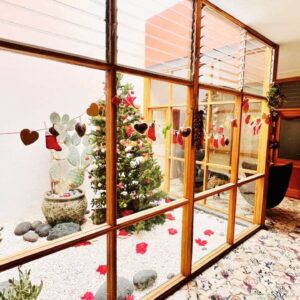 Cactus Co Living 2