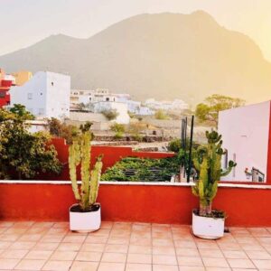 Cactus Coliving & Coworking Tenerife Aussicht