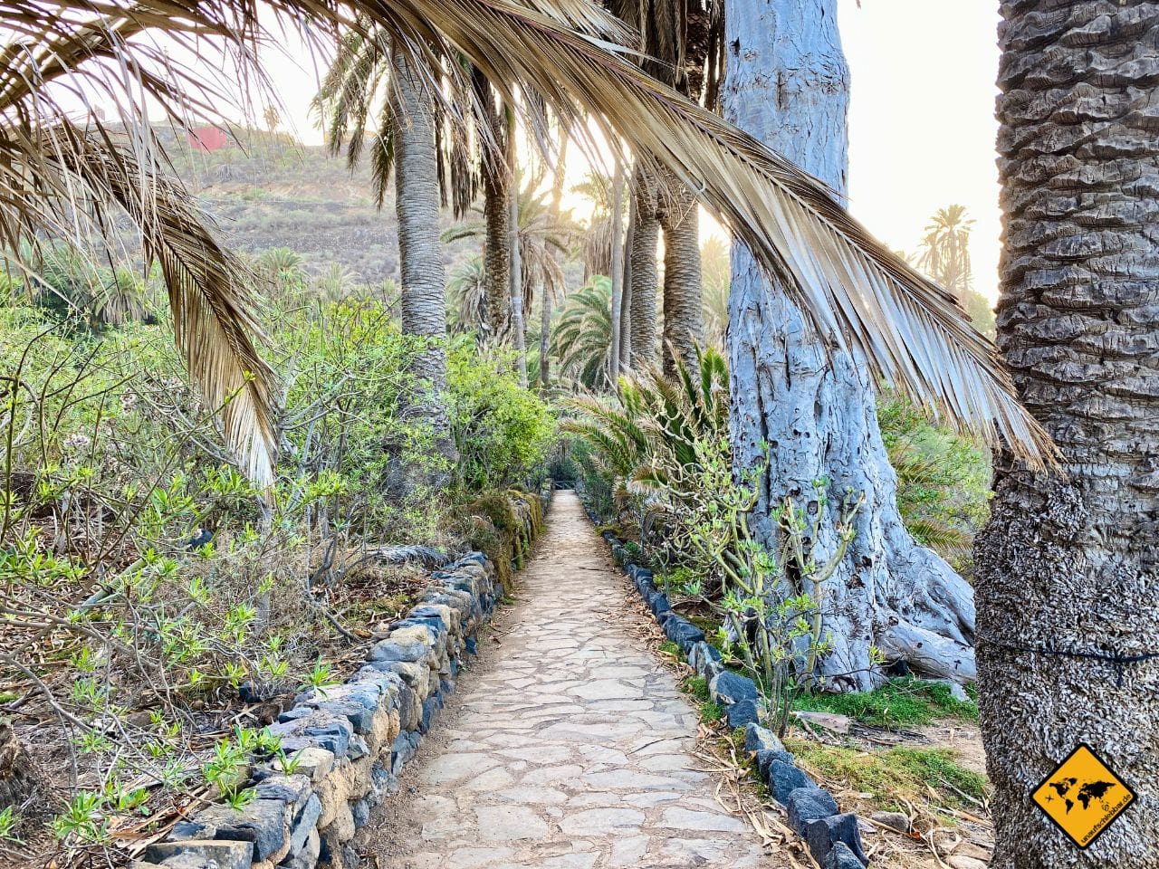 Wandern Rambla de Castro Teneriffa Weg