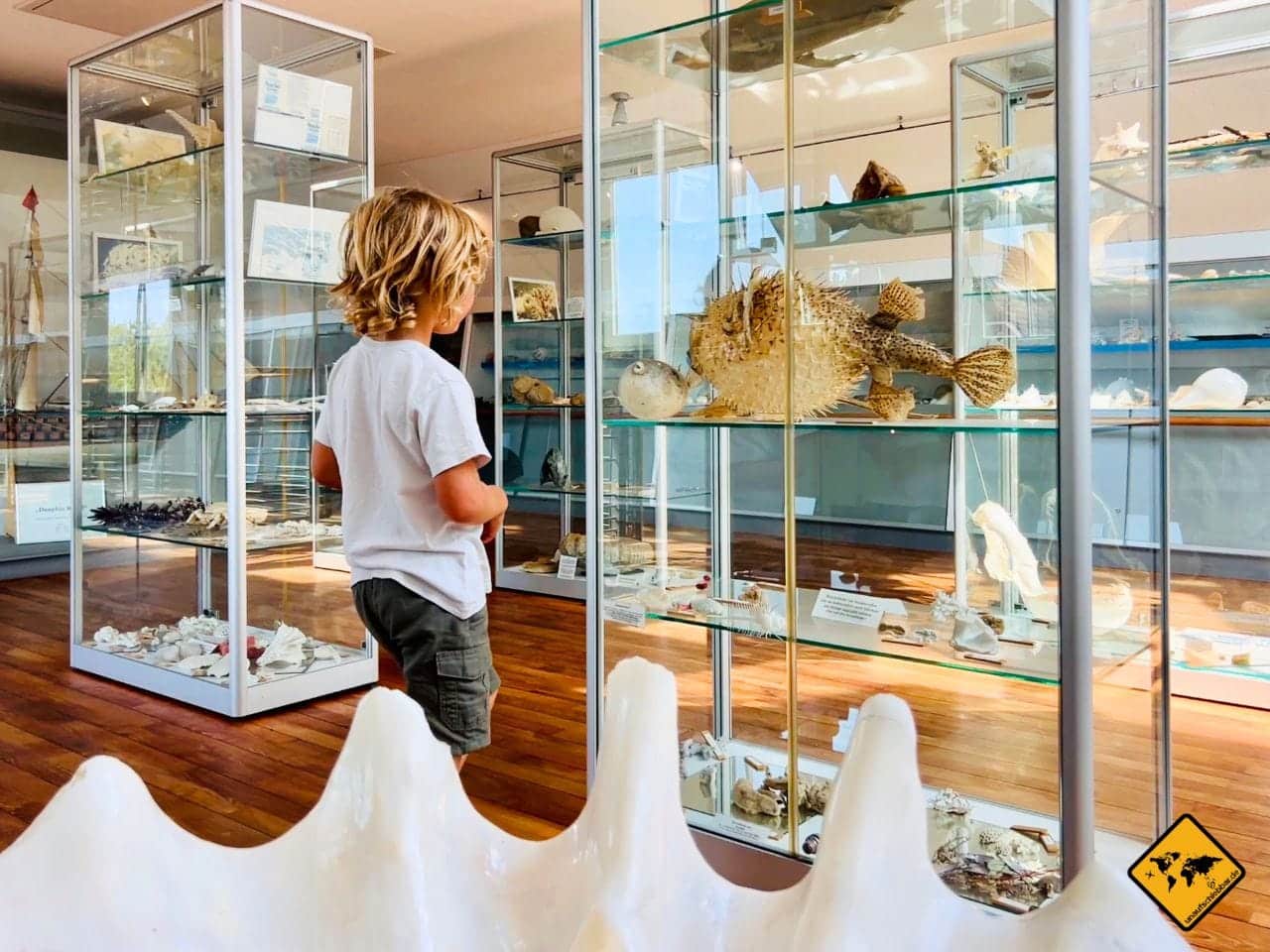 Spiekeroog Muschelmuseum