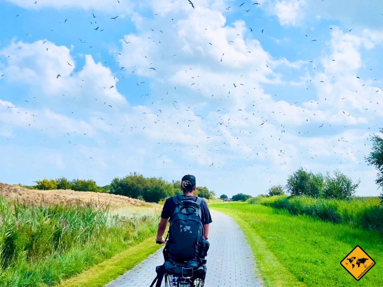 Langeoog Tagesausflug Fahrrad Möwen