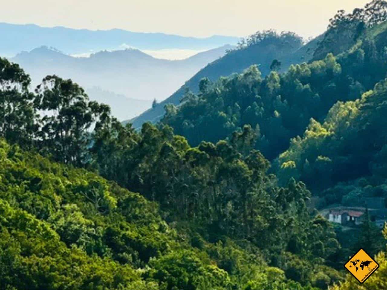 Grüne Natur Teneriffa Anaga