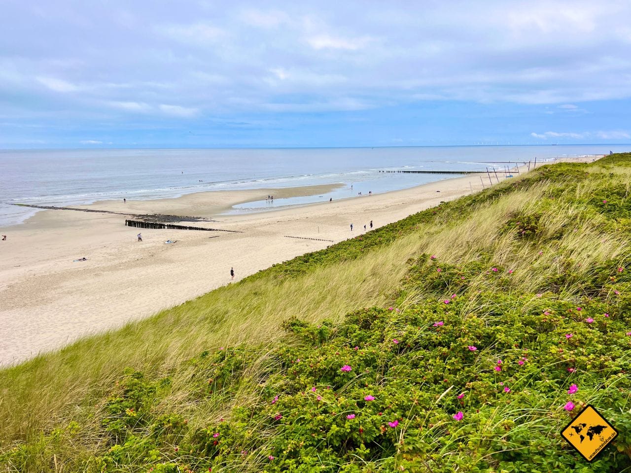 Tagesausflug Wangerooge Naturstrand Ausblick Düne