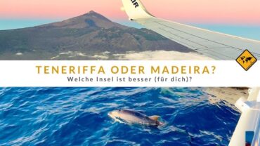 Teneriffa oder Madeira – Welche Insel ist besser (für dich)?