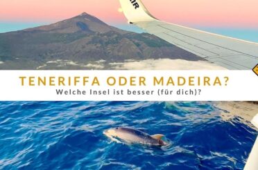 Teneriffa oder Madeira – Welche Insel ist besser (für dich)?