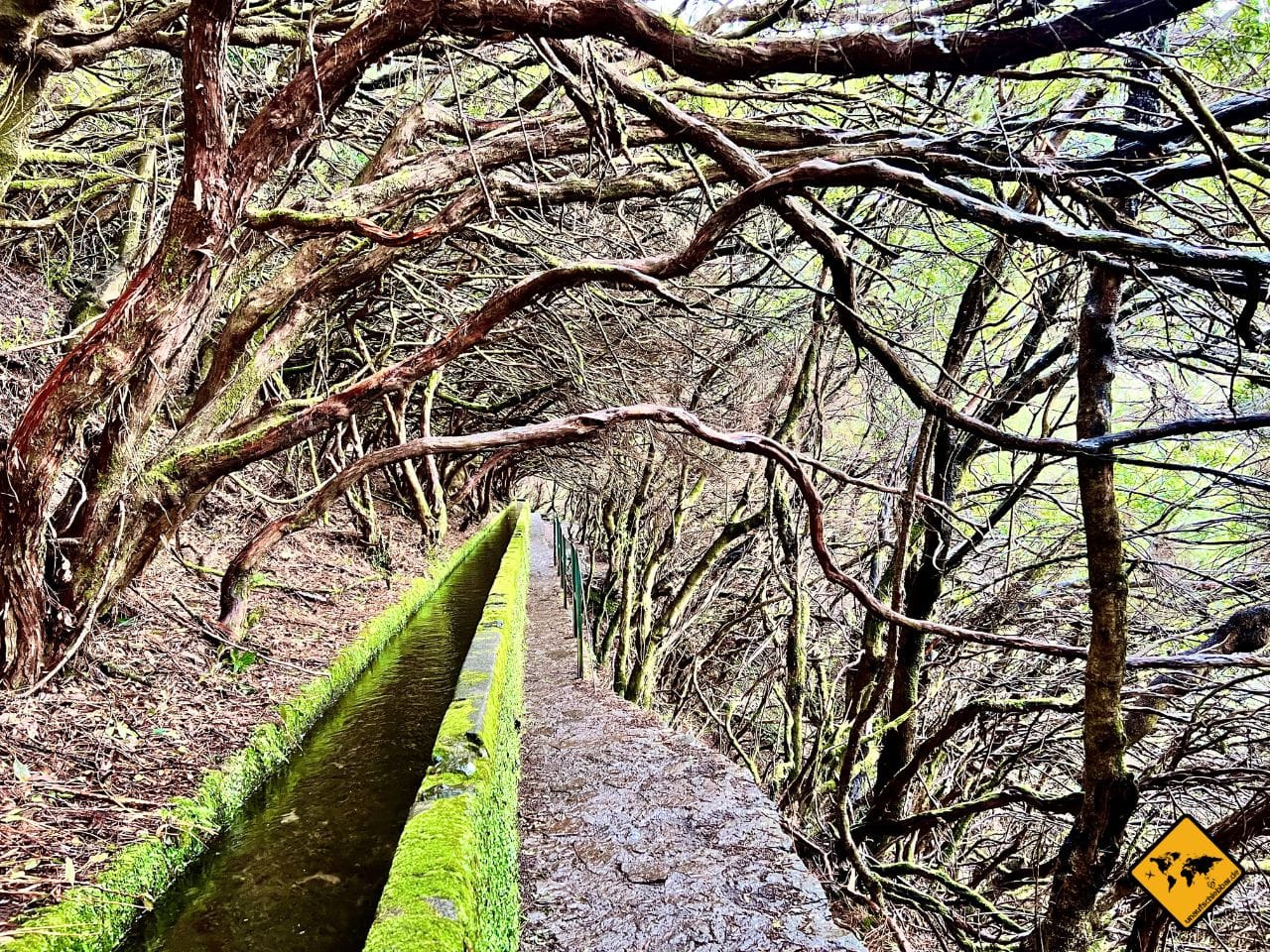 Wanderwege Madeira Levada 25 Quellen Wasserfall