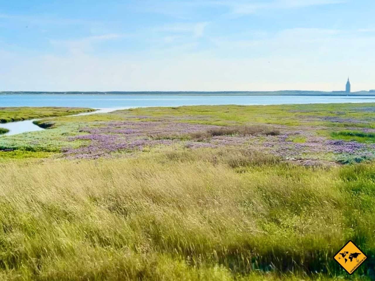 Wangerooge Natur Ankunft Zug