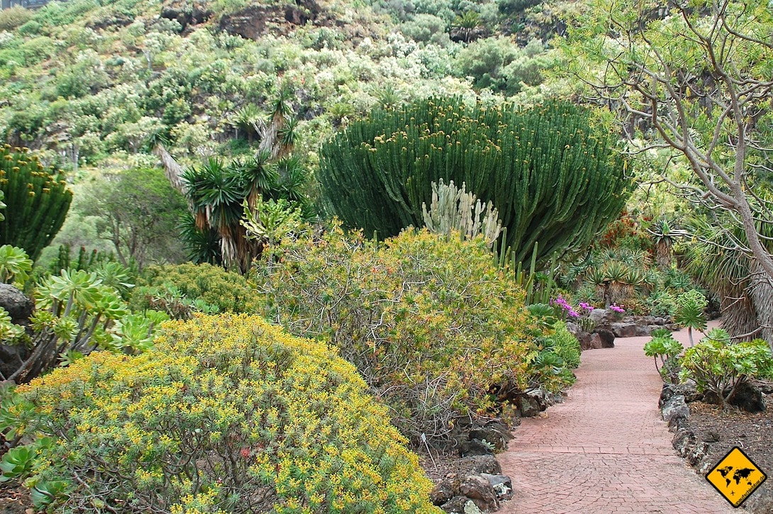 Aktivitäten auf Gran Canaria Spaziergang Jardín Canario