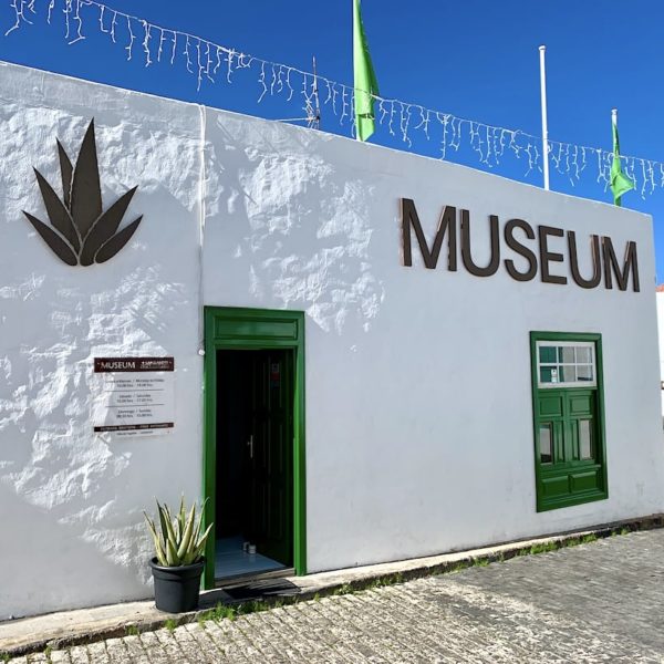 Aloe Vera Museum Teguise Lanzarote