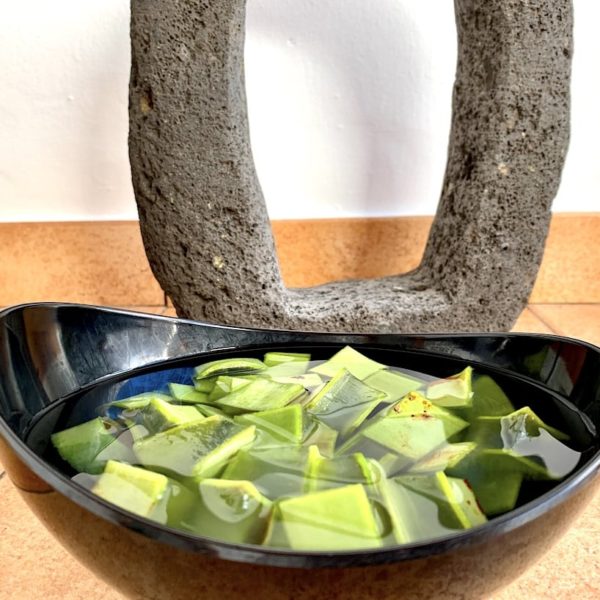 Aloe Vera Pflanze Deko