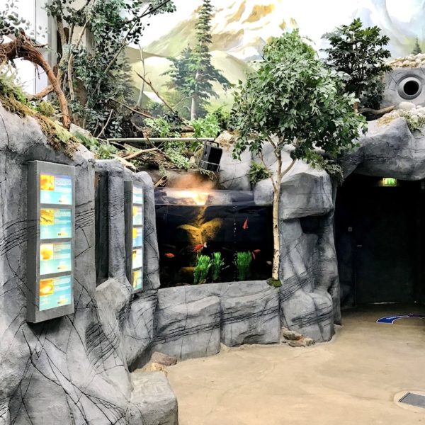 Ambiente Sea Life Oberhausen