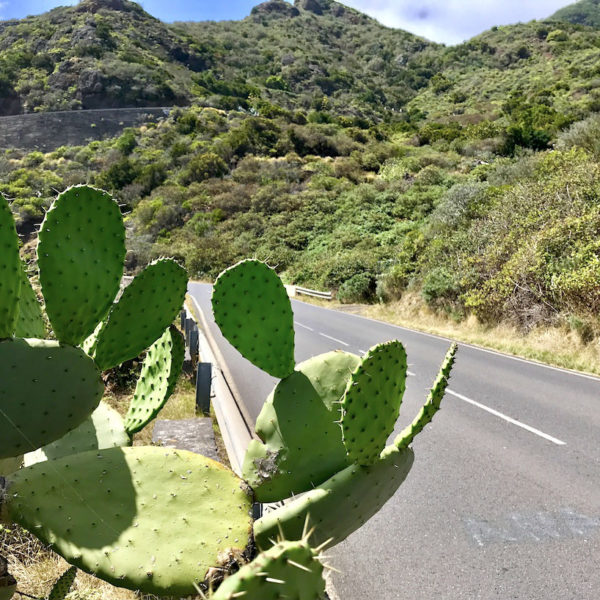 Anaga Gebirge Teneriffa Küstenstraße