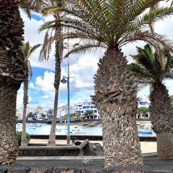 Arrecife Charco de San Ginés Palmen