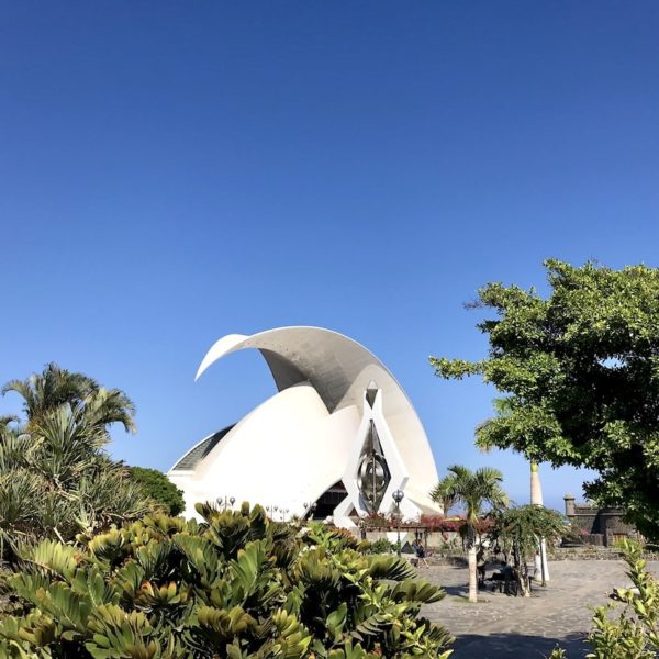 Auditorium Santa Cruz de Tenerife Bäume