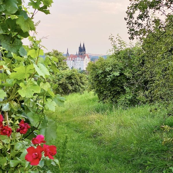 Ausblick Boxberg Meißen