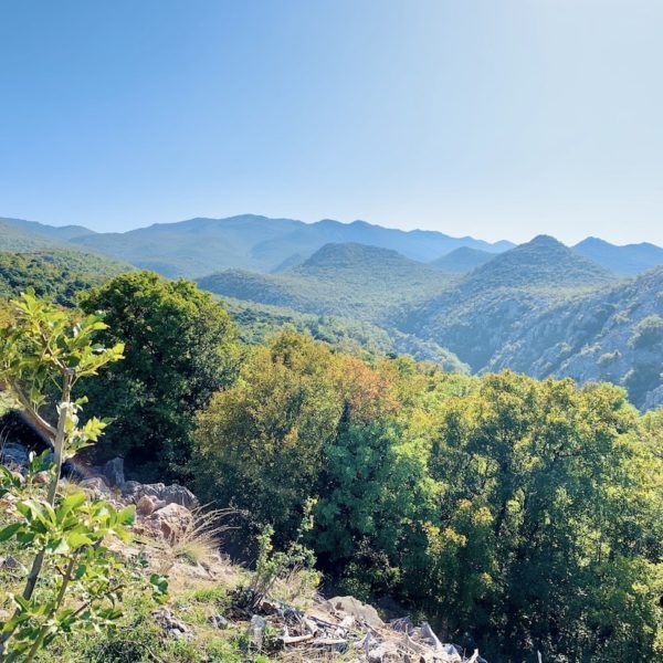 Ausblick grüne Natur Weg nach Krasno Polje