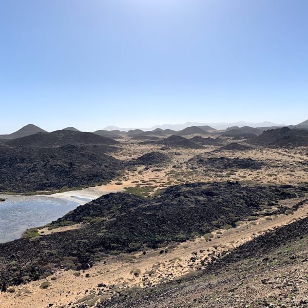 Ausflüge ab Lanzarote: Isla de Lobos