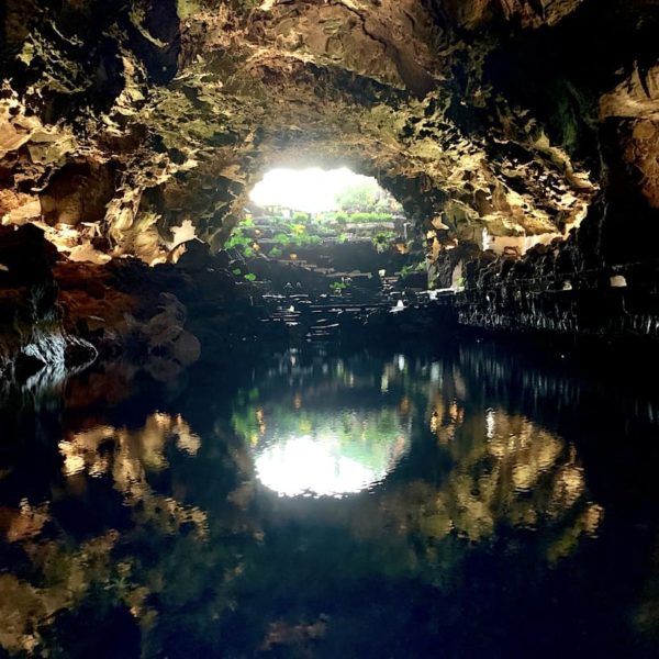 Ausflugstipps Lanzarote Jameos del Agua Lavagrotte