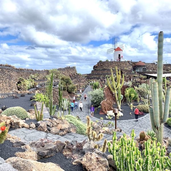 Ausflugsziele Lanzarote Jardín de Cactus