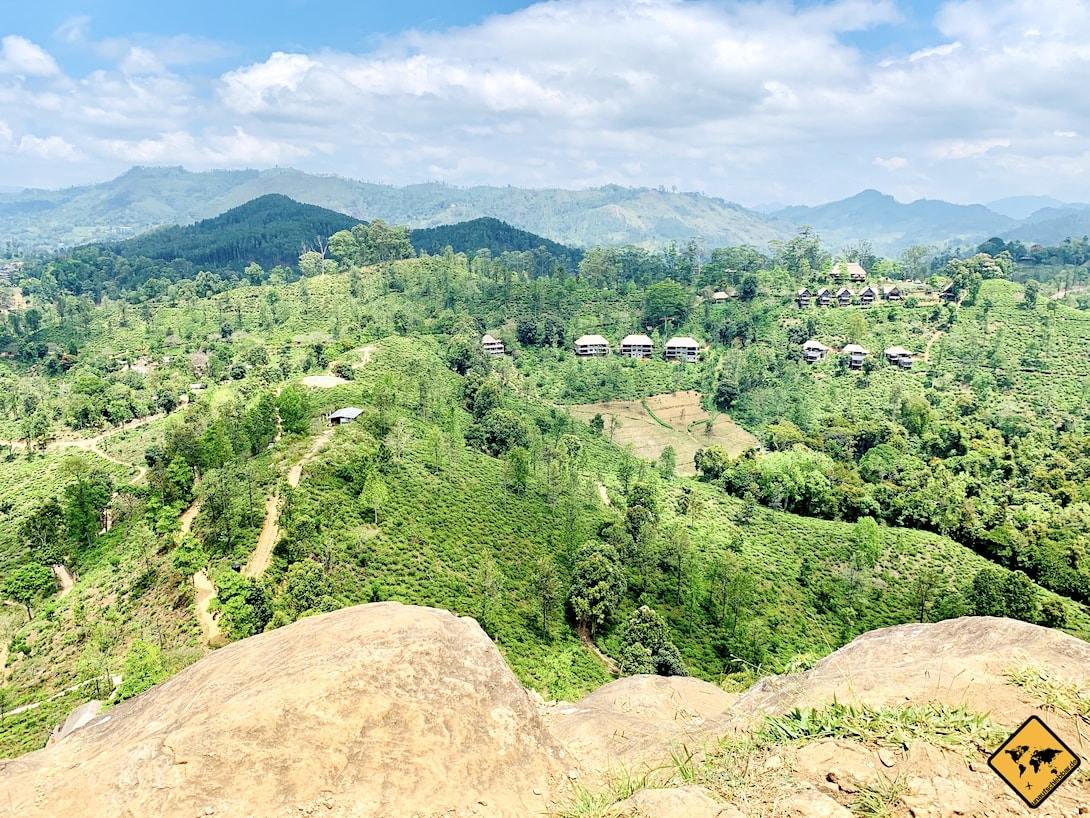 Aussicht ins Grüne Little Adam's Peak