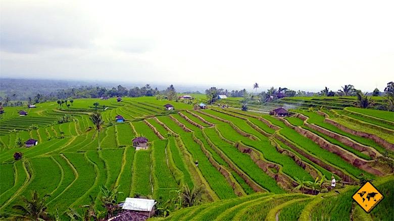 Bali Ausflüge Jatiluwih Reisterrassen