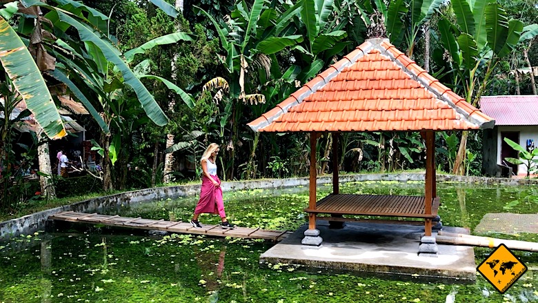 Bali Ausflüge von Ubud