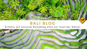 Bali Blog – Erfahre auf unserem Reiseblog alles zur Insel der Götter