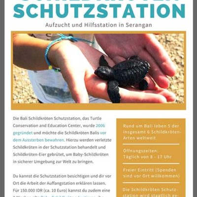 Bali Lombok Rundreise Reiseführer - Schildkröten Schutzstation