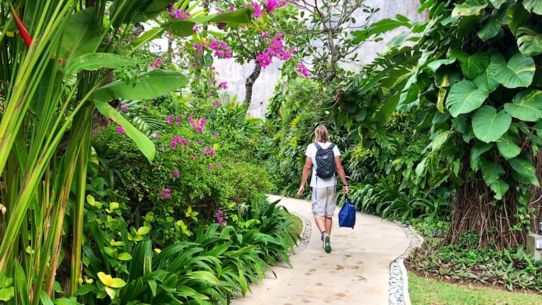 Bali Regenzeit Erfahrung grüne Natur