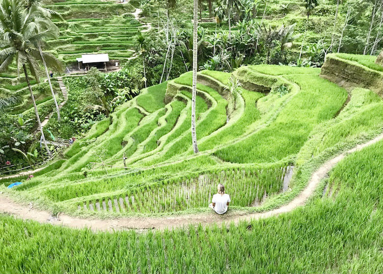 Bali Regenzeit grüne Reisterrassen