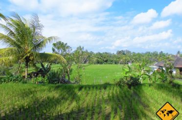 Ubud – Balis spirituelle Perle