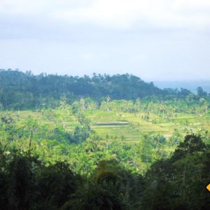 Bali Reisterassen mit Weitblick