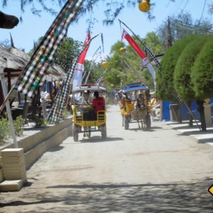 Bali Rundreise mit der Pferdekutsche auf Gili Trawangan