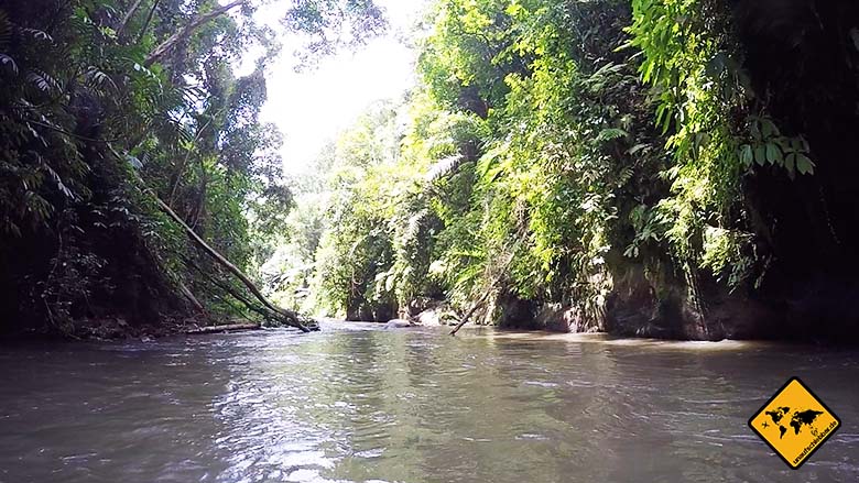 Bali Sehenswürdigkeiten top 10 Ayung