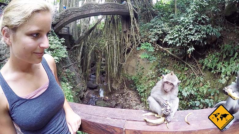 Bali Sehenswürdigkeiten top 10 Monkey Forest Ubud