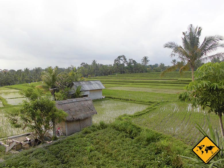 Bali Sehenswürdigkeiten top 10 Ubud Reisfelder Hütten