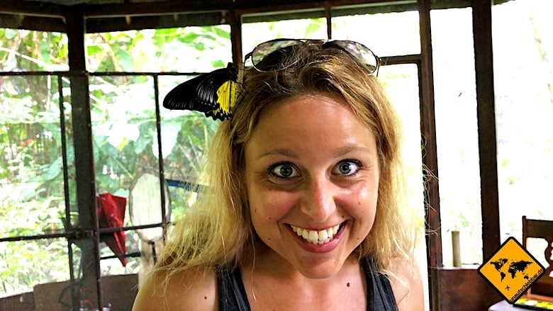 Bali Tagestouren Bali Butterfly Park