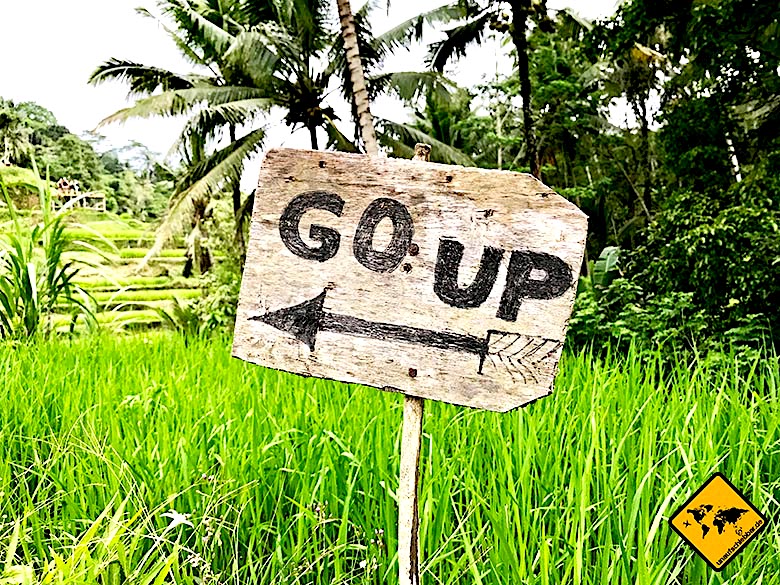 Bali Tagestouren Tegalalang Reisterrassen